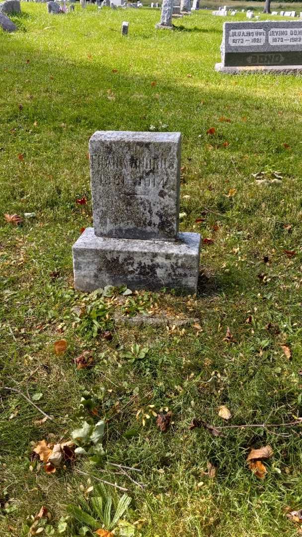 Frank Andrus's grave. Photo 2