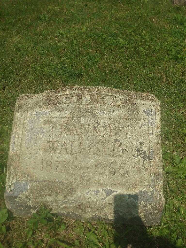 Frank B. Walliser's grave. Photo 3