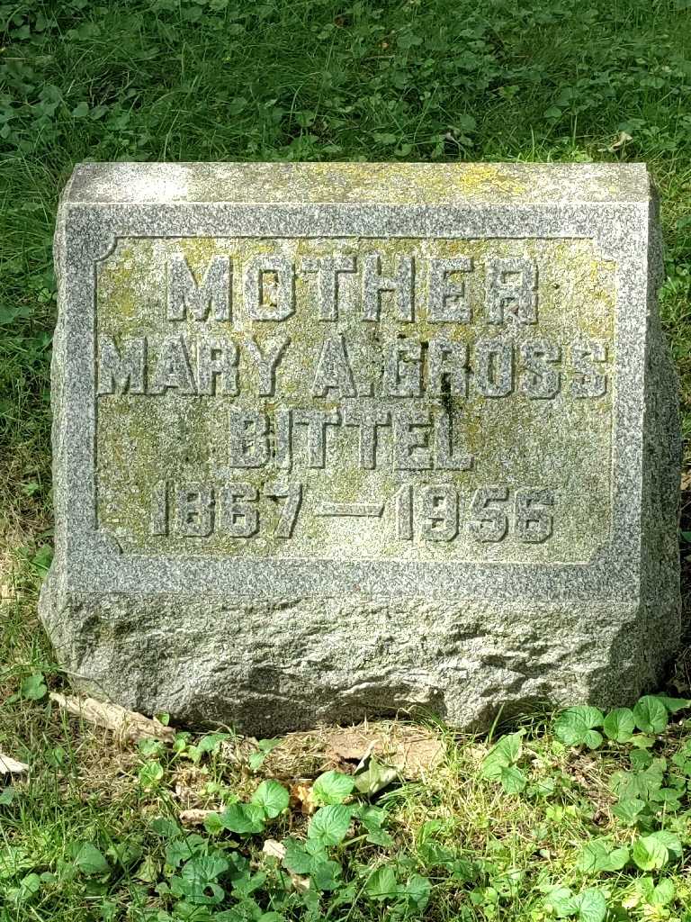 Mary A. Gross Bittel's grave. Photo 3