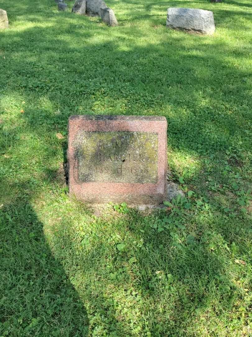 Charles L. Hardter's grave. Photo 2