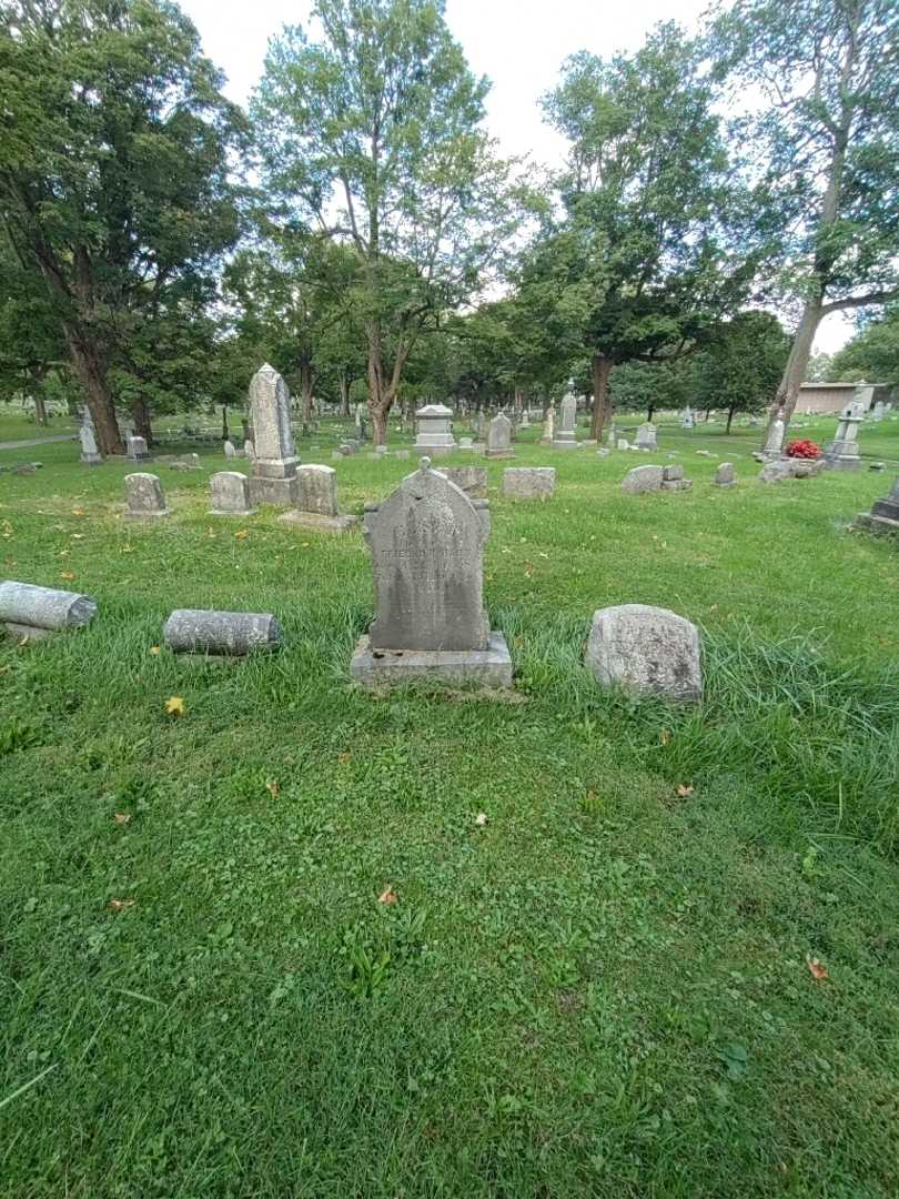 Elise B. Hahn's grave. Photo 1