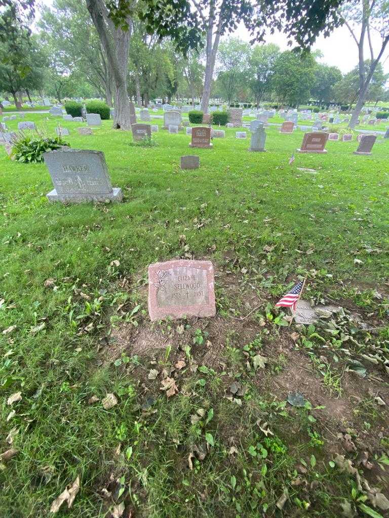 Eliza E. Sellwood's grave. Photo 1