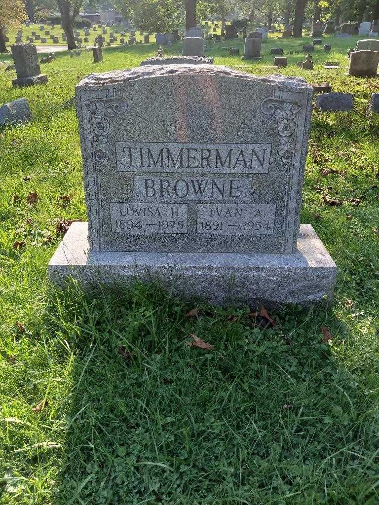 Ivan A. Timmerman's grave. Photo 2