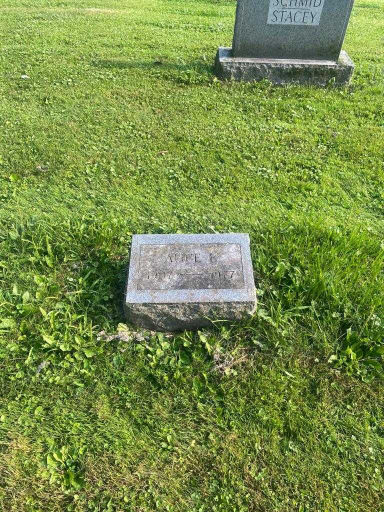 Alice E. Schmid's grave. Photo 2