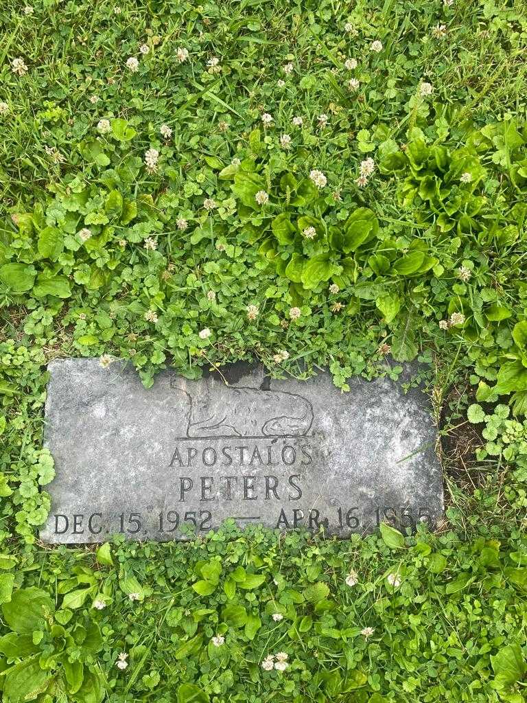 Apostalos Peters's grave. Photo 3