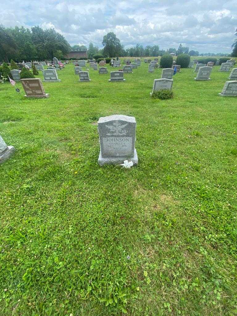 Joyce Johnson's grave. Photo 1