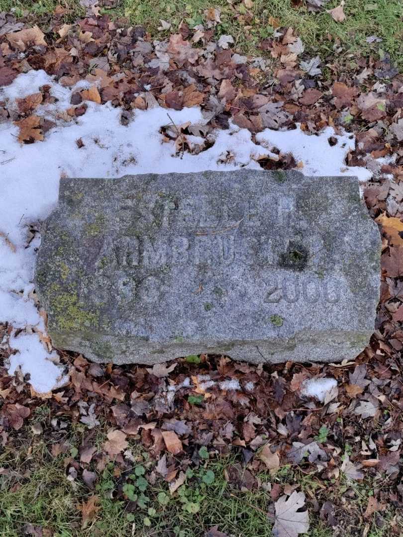 Estelle H. Armbruster's grave. Photo 3