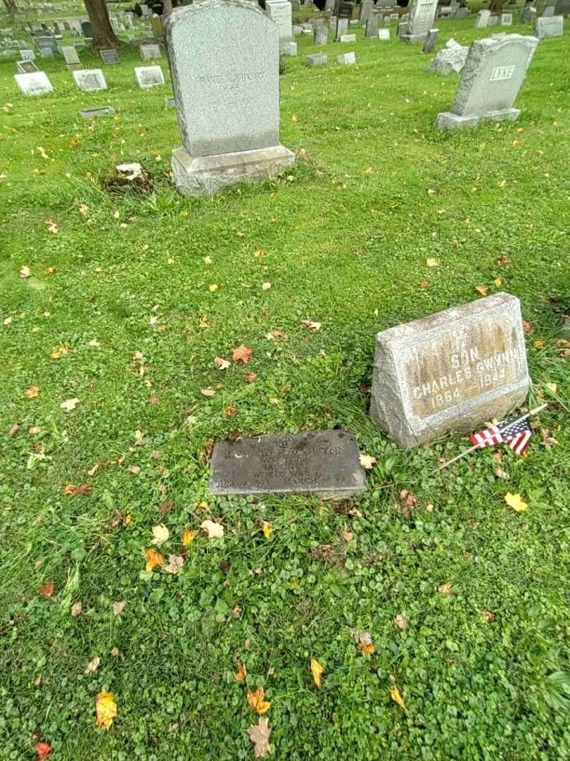 Homer Richard D Gwynn's grave. Photo 1