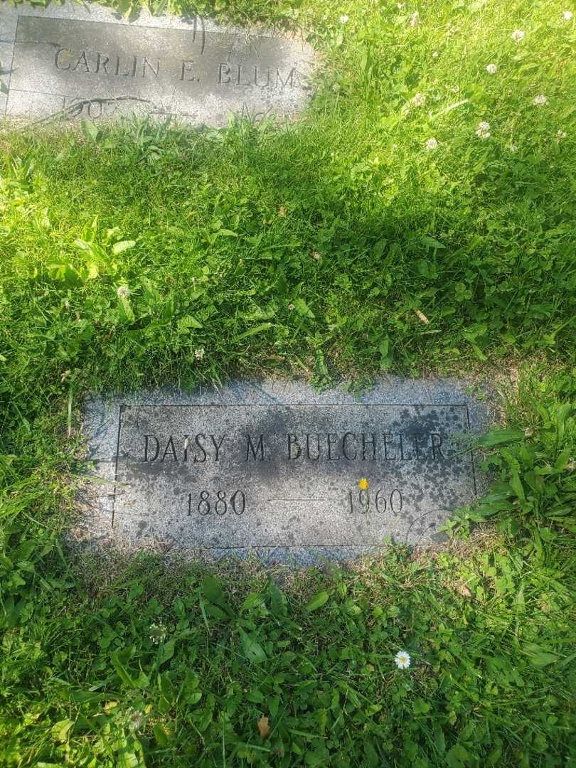 Daisy M. Buecheler's grave. Photo 4