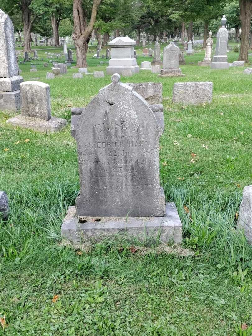 Elise B. Hahn's grave. Photo 2