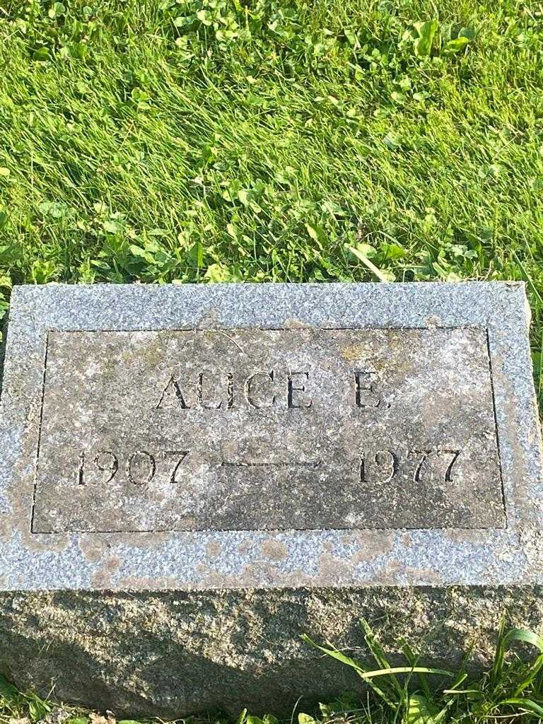 Alice E. Schmid's grave. Photo 3