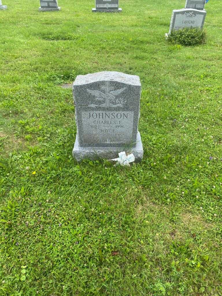 Joyce Johnson's grave. Photo 2
