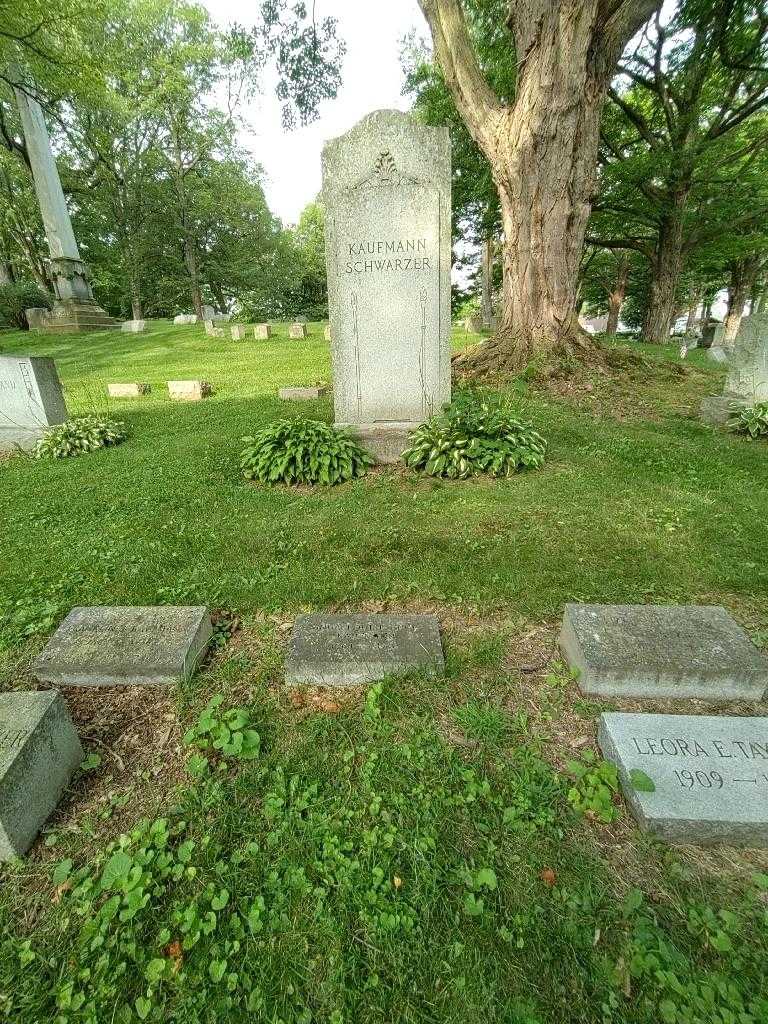 Anna Louise Kaufmann Cook's grave. Photo 1
