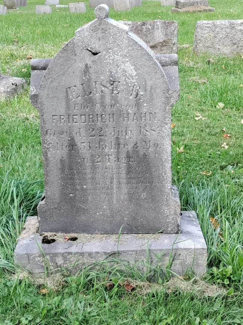 Elise B. Hahn's grave. Photo 3