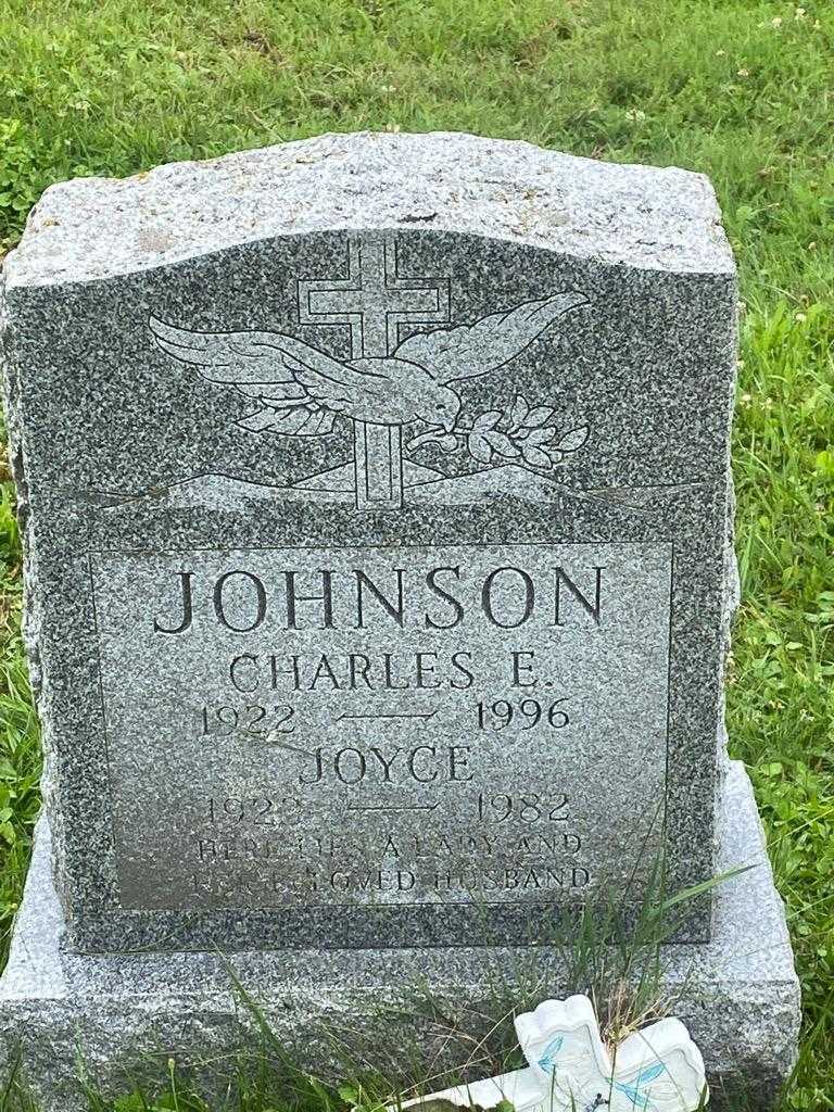 Joyce Johnson's grave. Photo 3