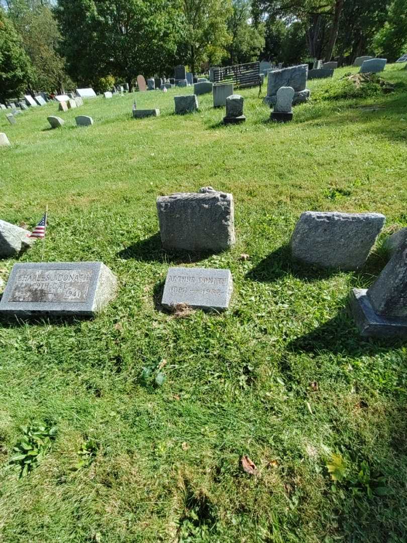 Arthur Donath's grave. Photo 1