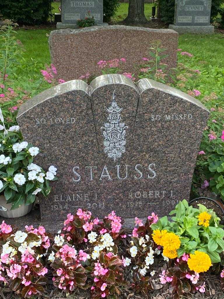 Elaine J. Stauss's grave. Photo 3