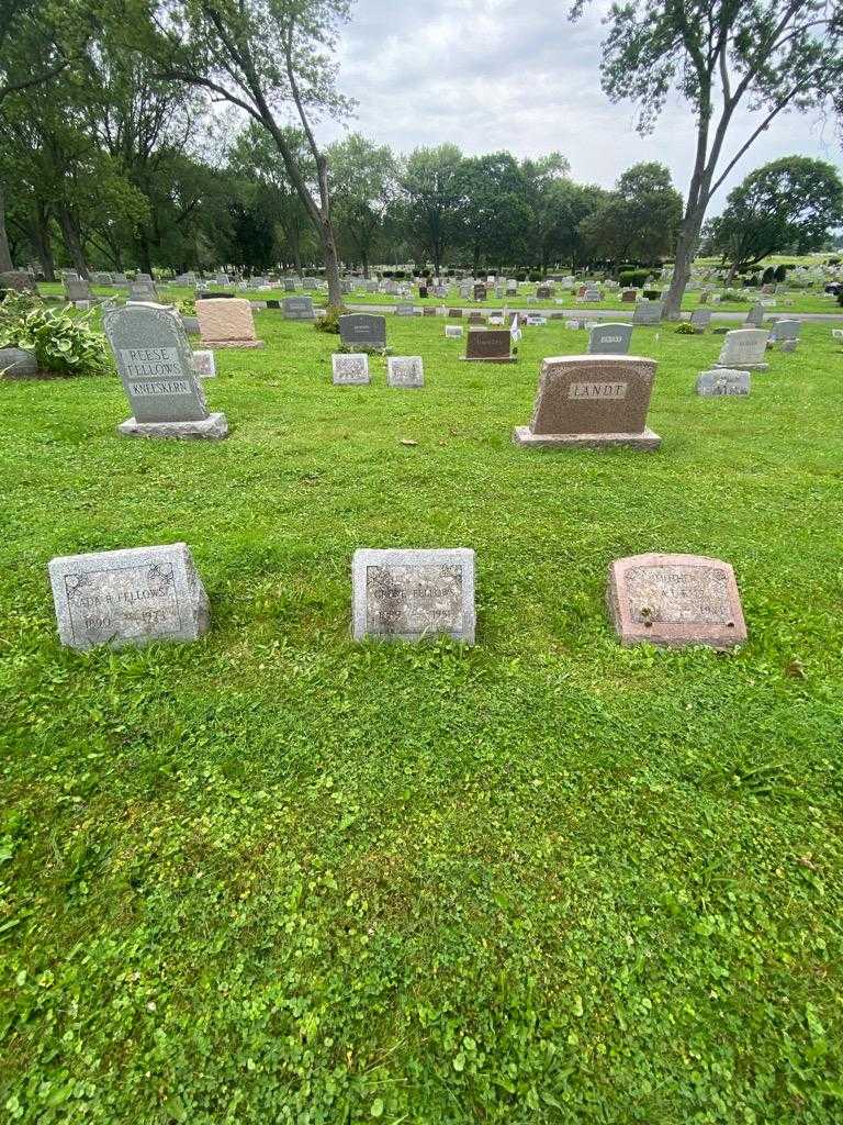 Grove Fellows's grave. Photo 1