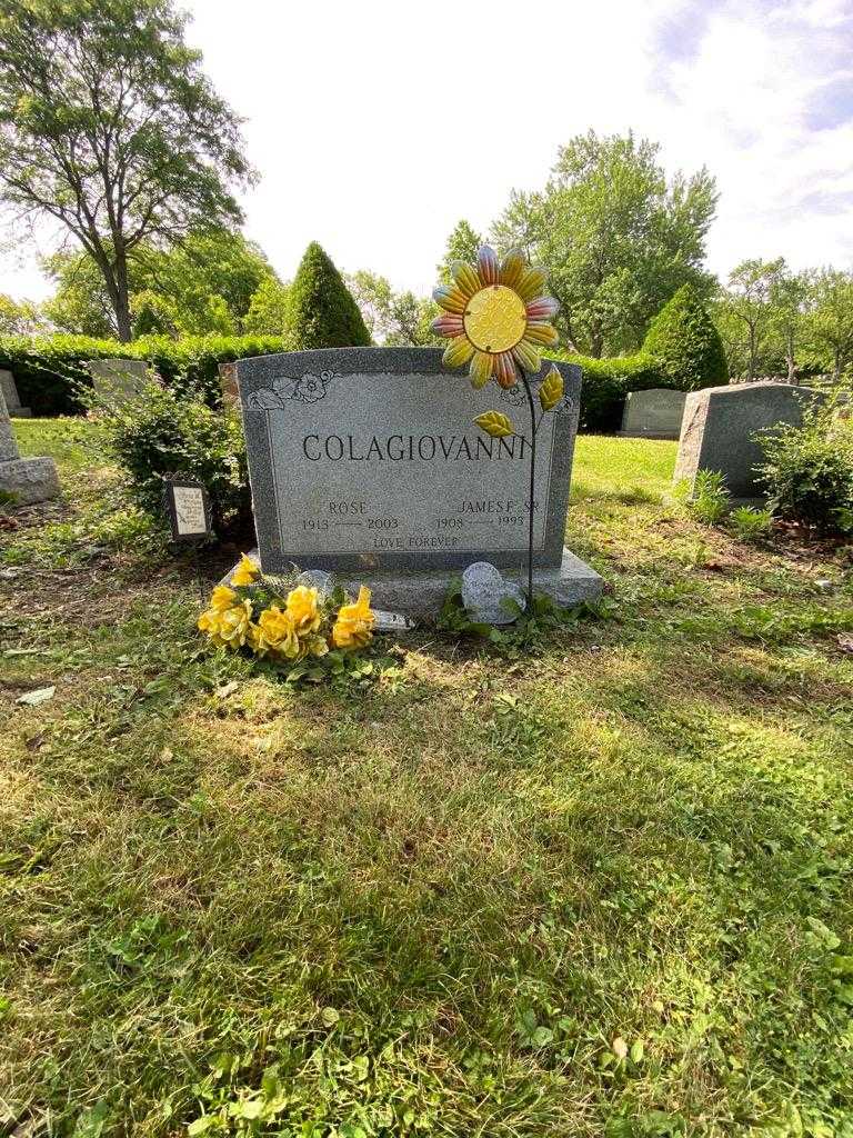 Rose Colagiovanni's grave. Photo 1