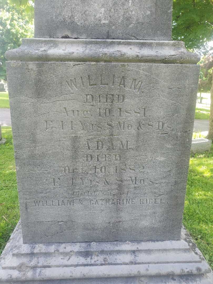 William Ribel Junior's grave. Photo 4