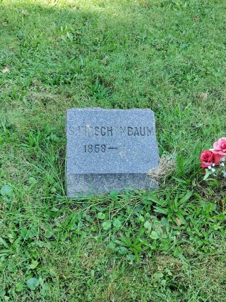 Steven Kirschenbaum's grave. Photo 2