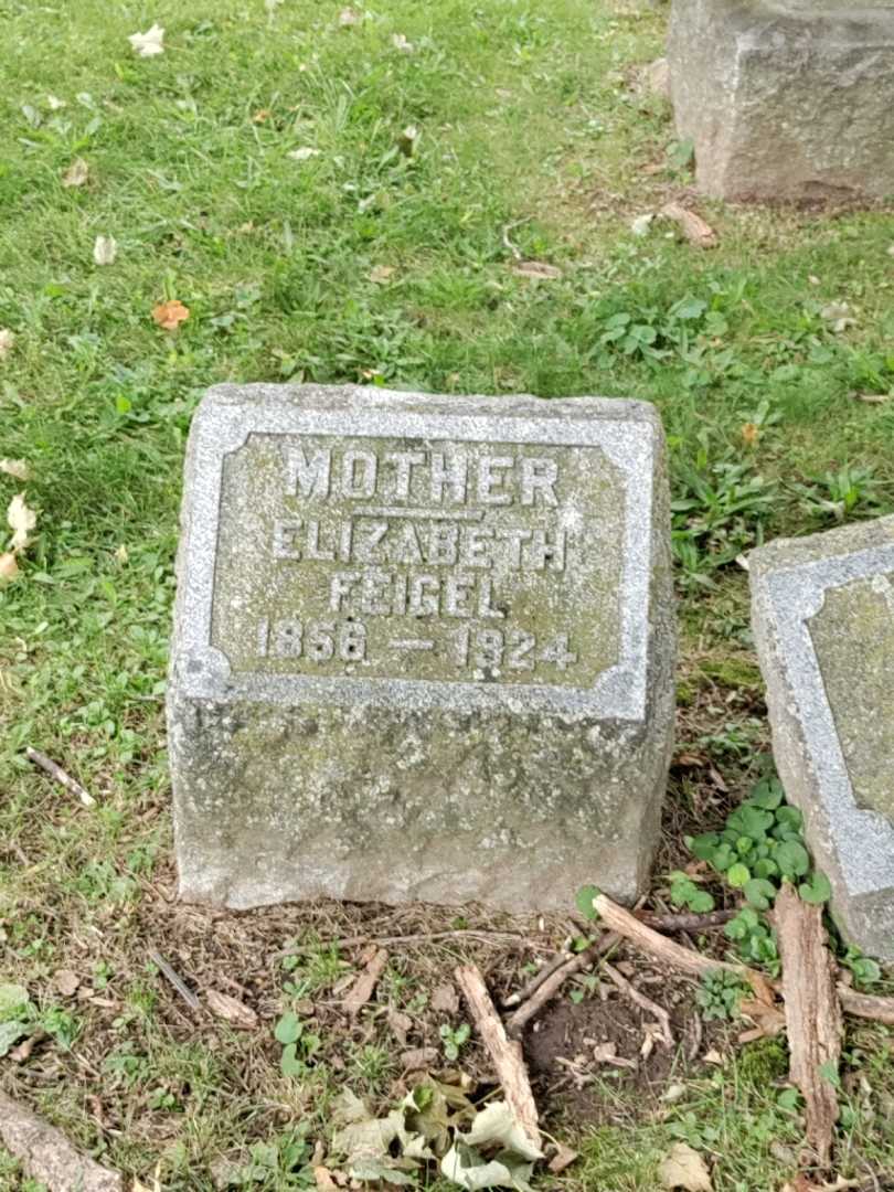 Elizabeth Feigel's grave. Photo 3