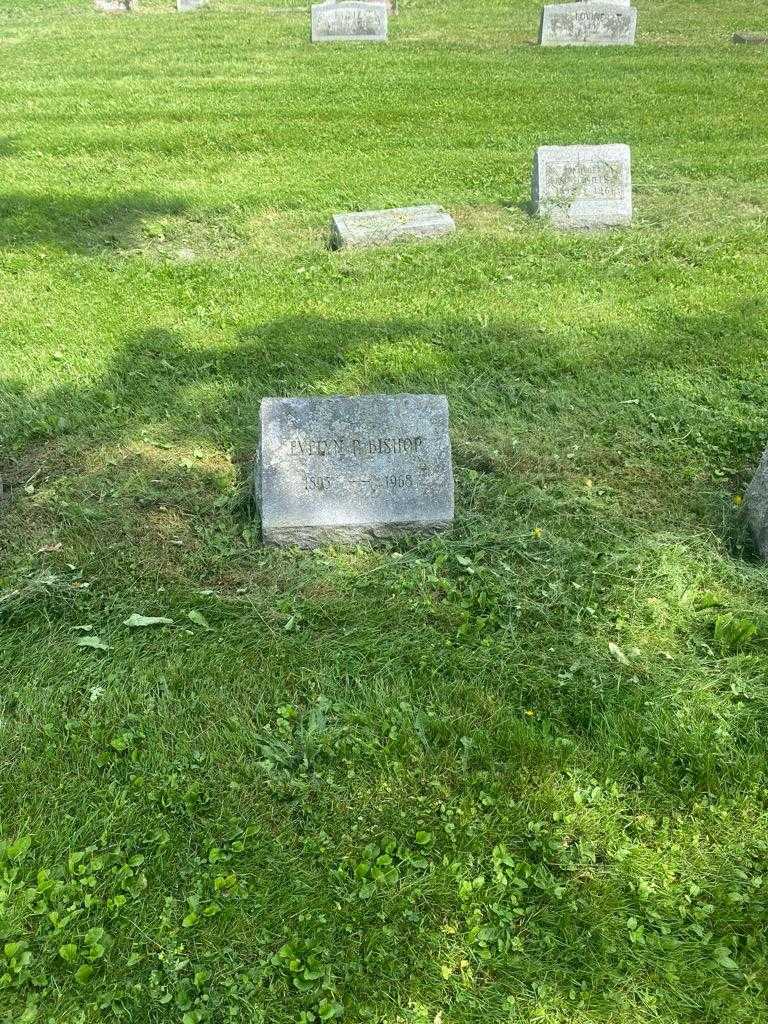 Evelyn P. Bishop's grave. Photo 2