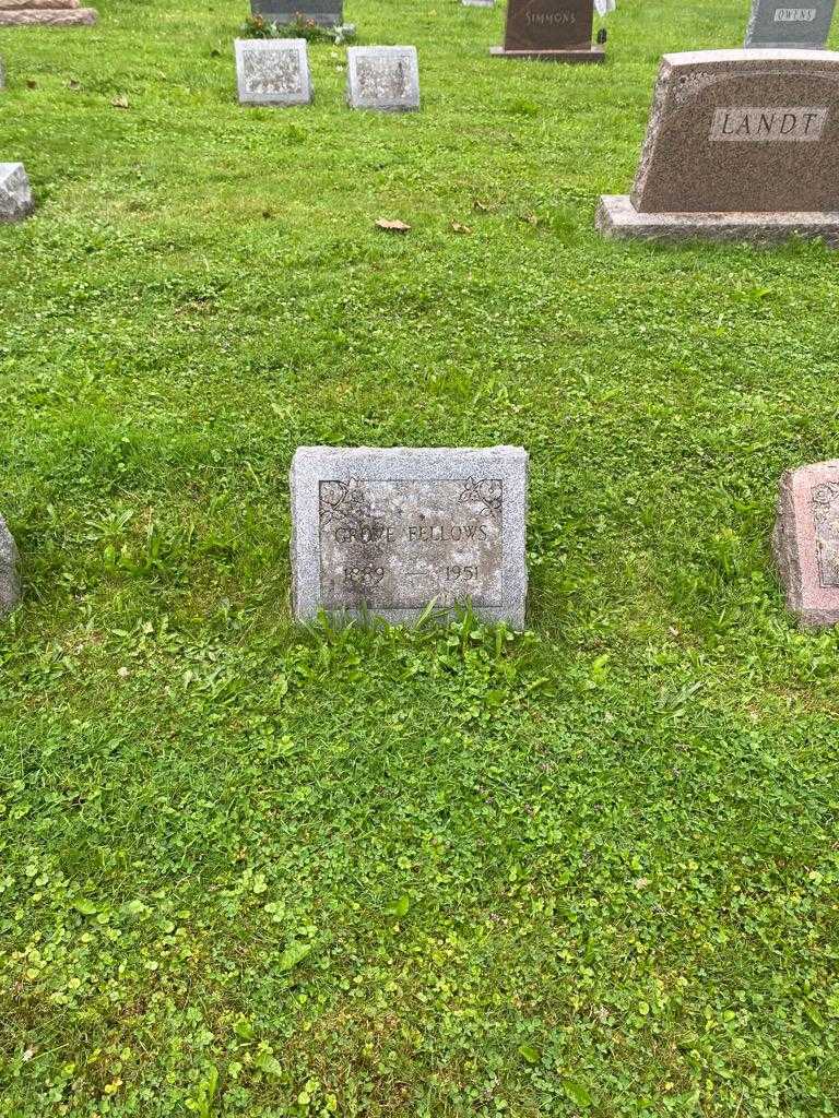 Grove Fellows's grave. Photo 2