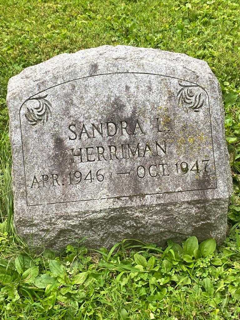 Sandra Louise Herriman's grave. Photo 3