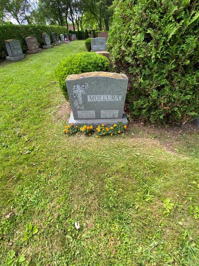 Biagio Mollura's grave. Photo 1