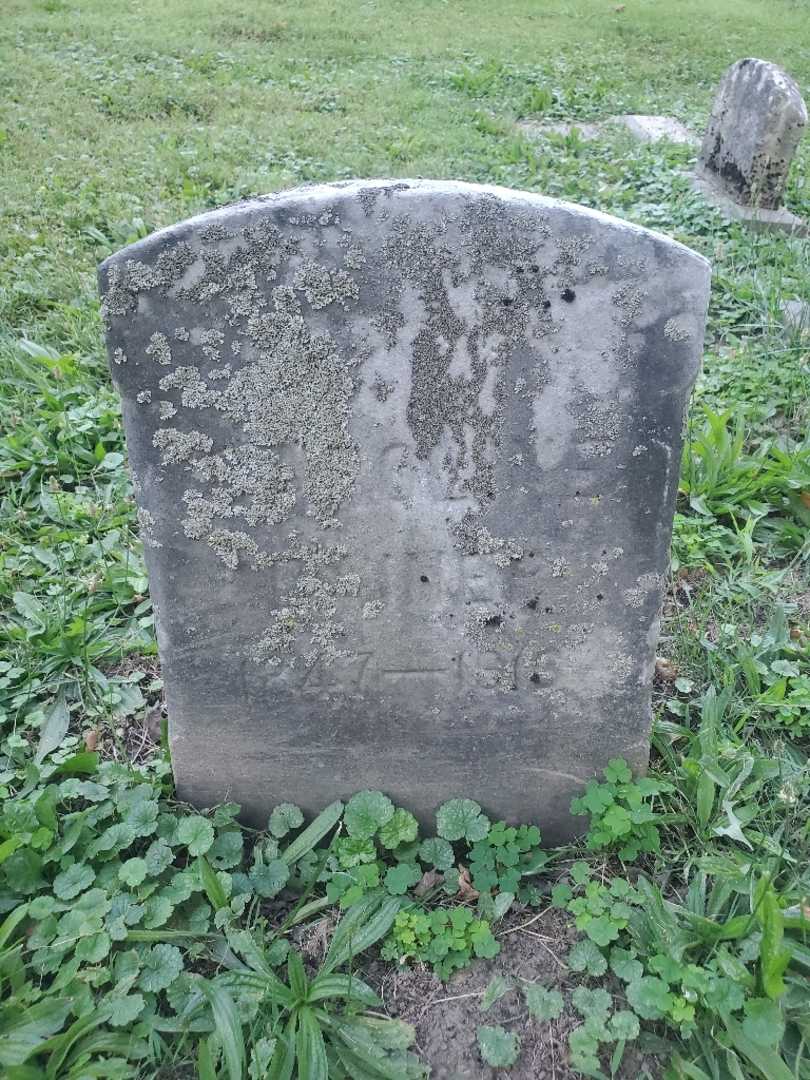 Caroline Dainer's grave. Photo 4