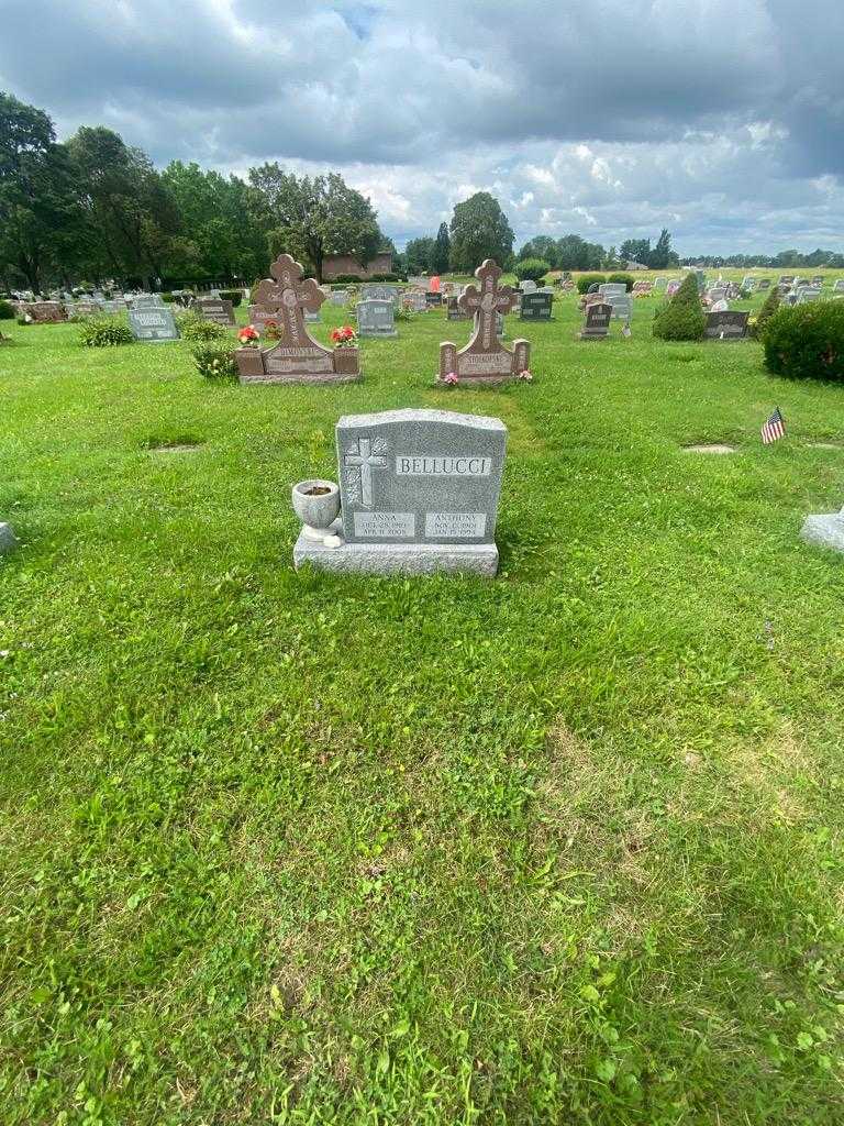 Anthony Bellucci's grave. Photo 1