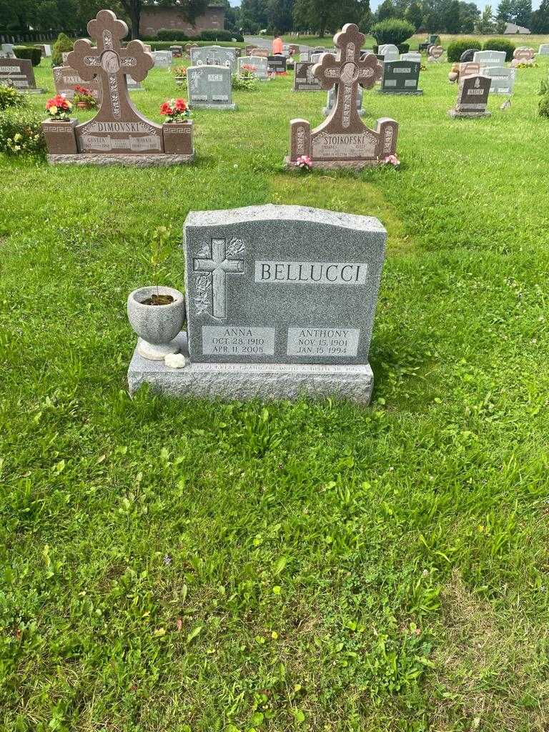 Anthony Bellucci's grave. Photo 2