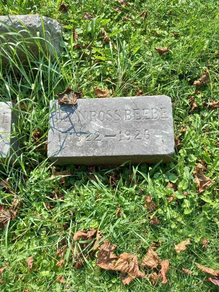 Jean Ross Beebe's grave. Photo 1