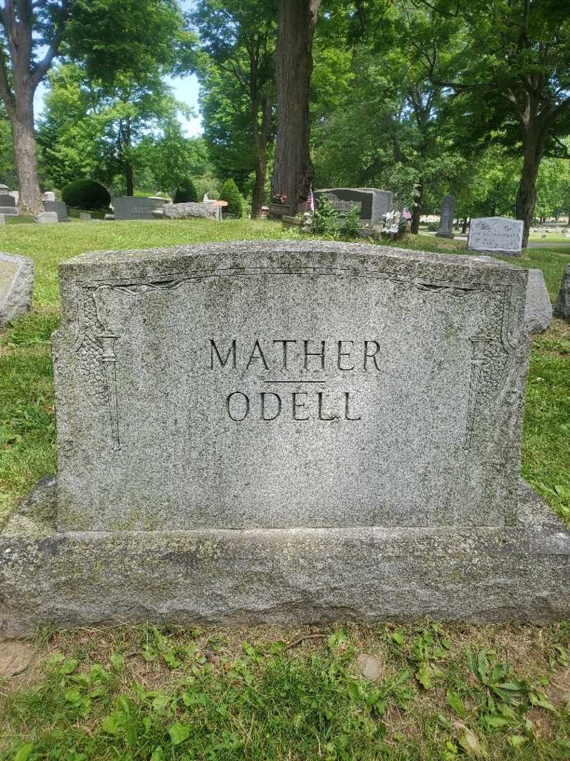 Doctor Albert Odell Grove's grave. Photo 4