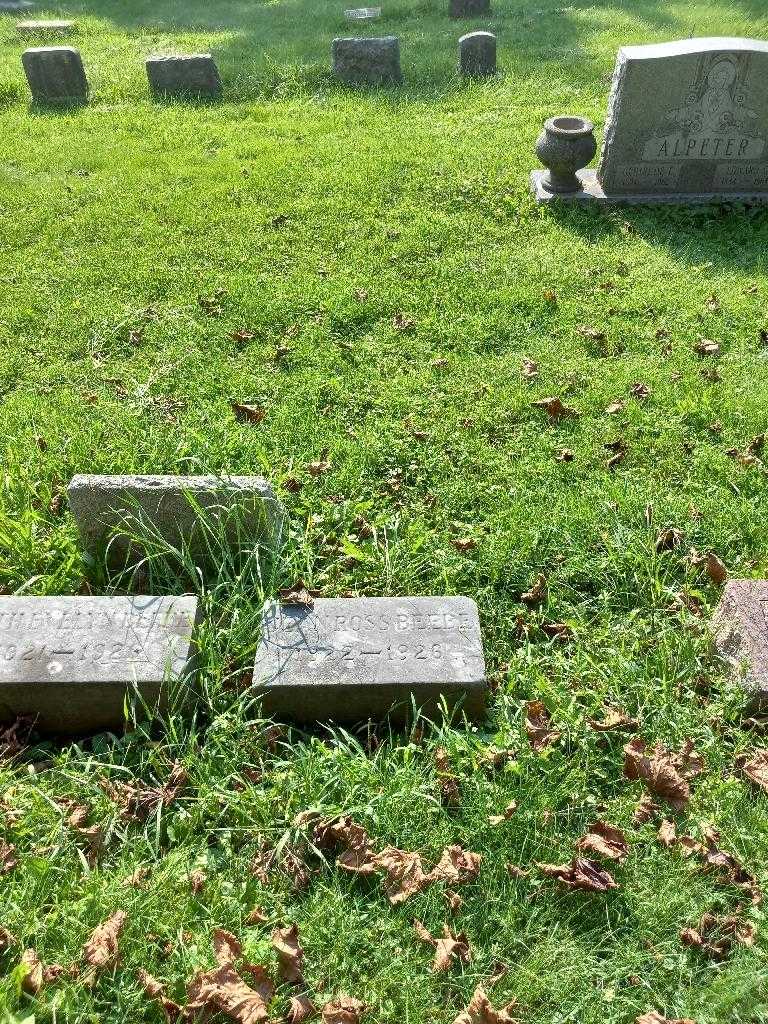 Jean Ross Beebe's grave. Photo 2