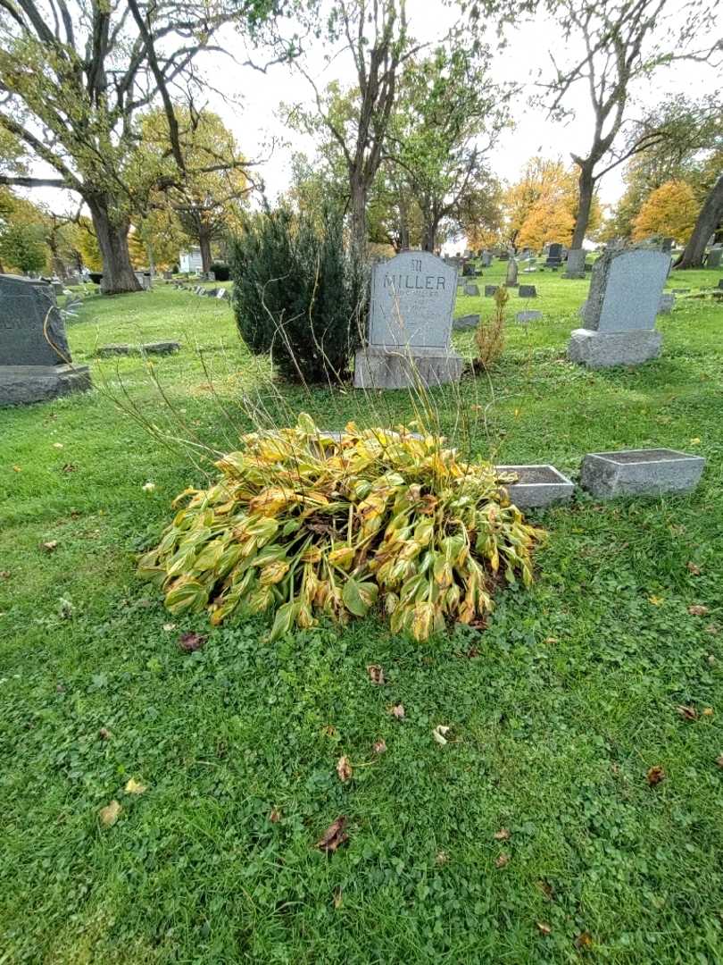 Otto H. Voss's grave. Photo 1