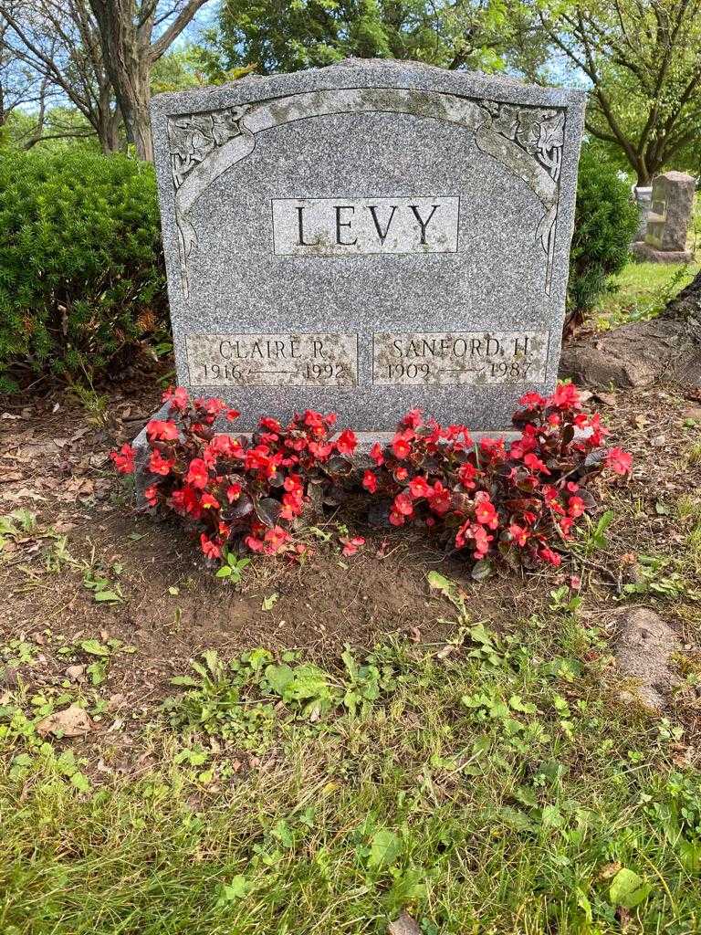 Sanford H. Levy's grave. Photo 2