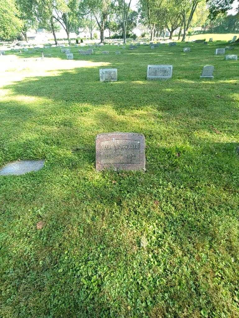 Carl Mingolelli's grave. Photo 1