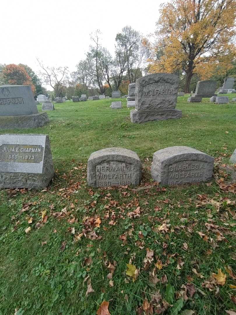 Herman G. Wolfarth's grave. Photo 1