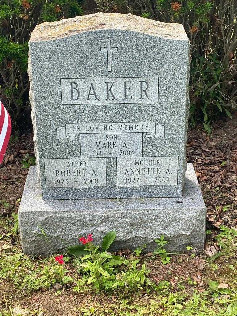 Robert A. Baker's grave. Photo 3