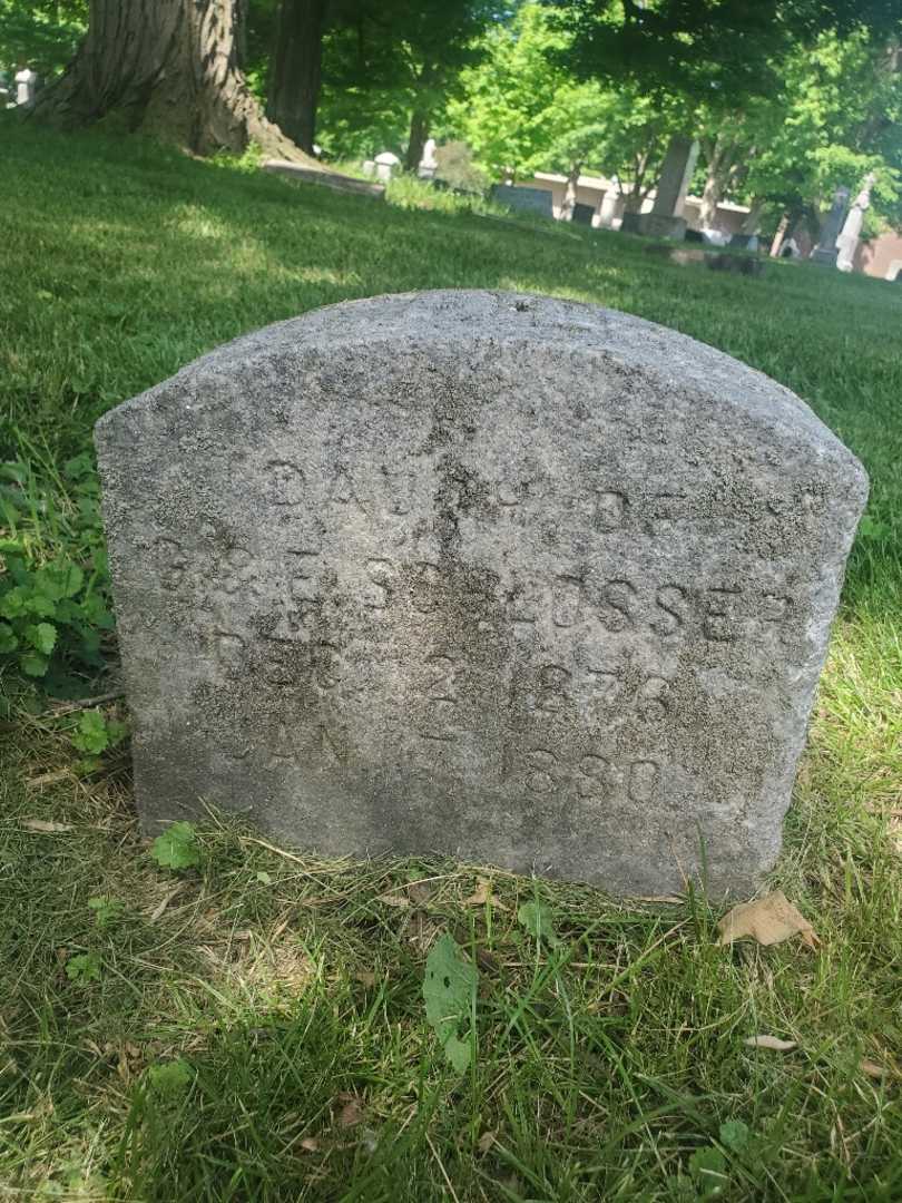 Bertha Schlosser's grave. Photo 4