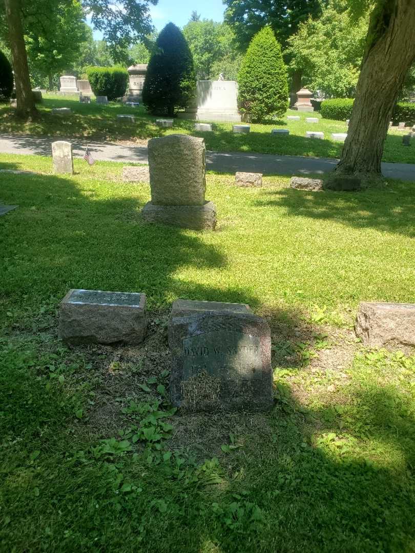 David W. Snyder's grave. Photo 1