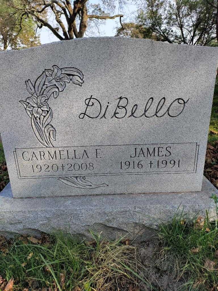 James DiBello's grave. Photo 2