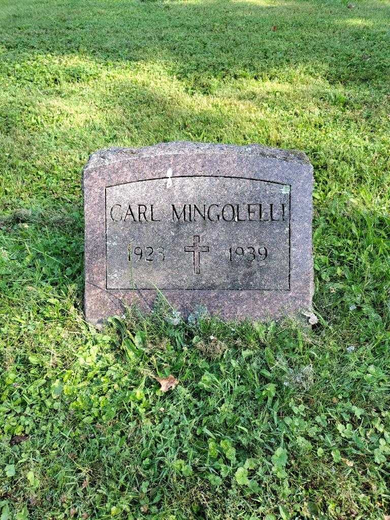 Carl Mingolelli's grave. Photo 2
