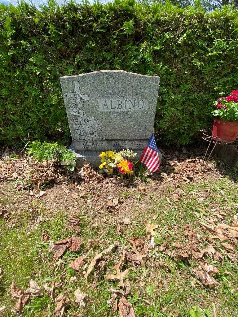 Charles A. Albino's grave. Photo 1