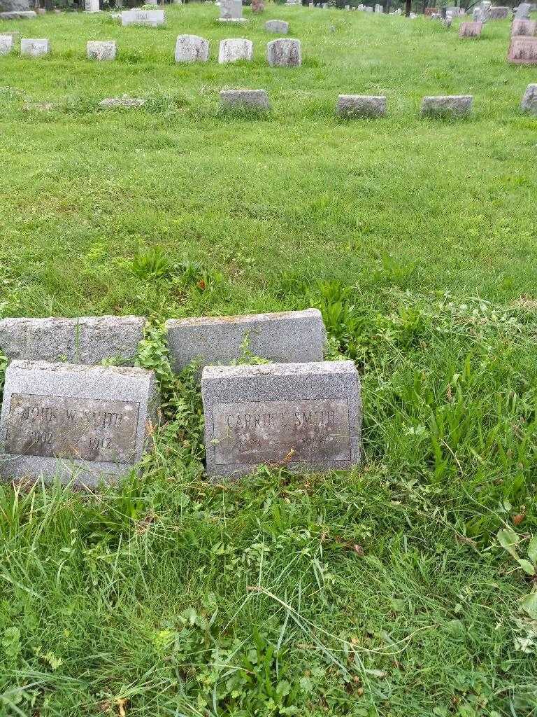 Carrie L. Smith's grave. Photo 1