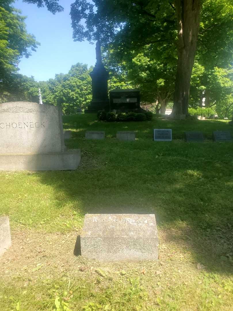 Lavinia W. H. Schoeneck's grave. Photo 1