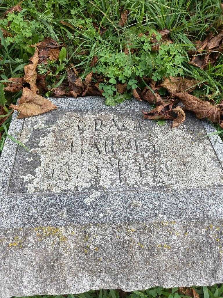 Grace Harvey's grave. Photo 2