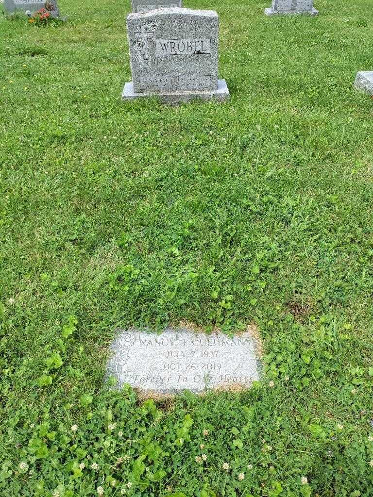 Nancy J. Cushman's grave. Photo 4